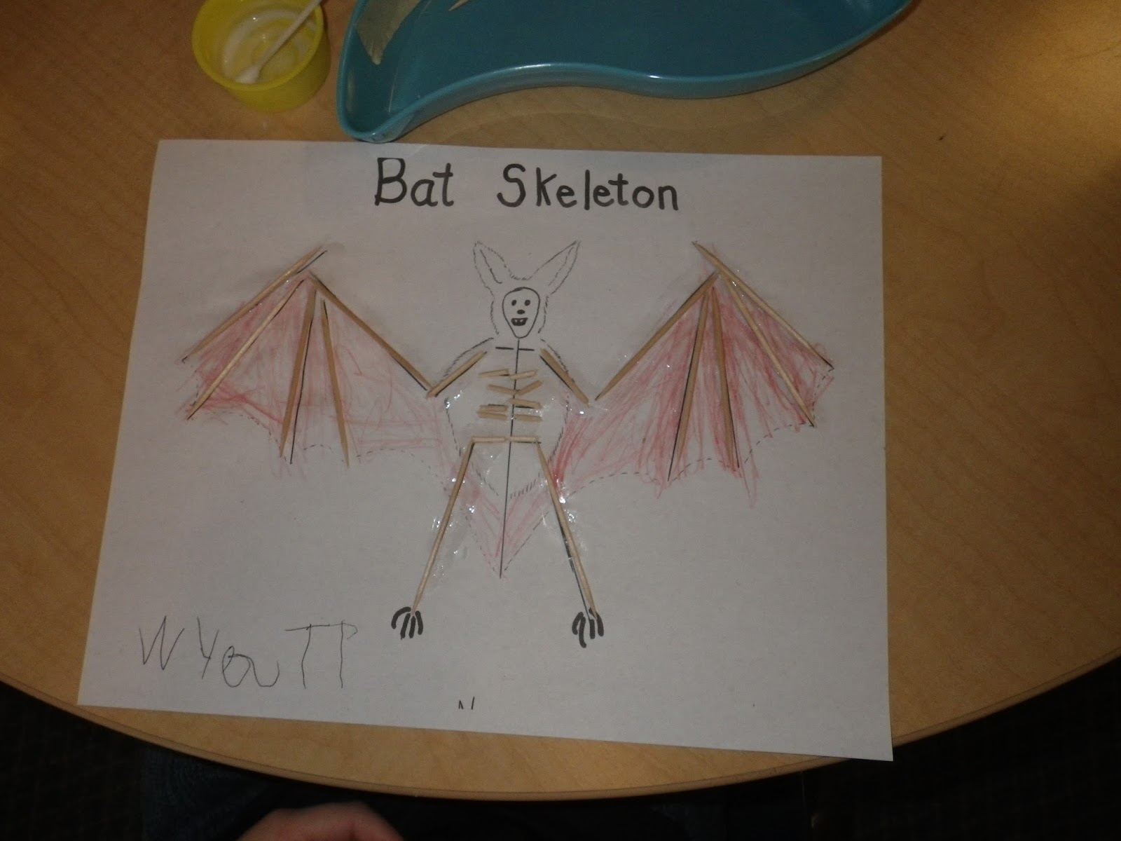 SmartSquirrel Bat Skeleton