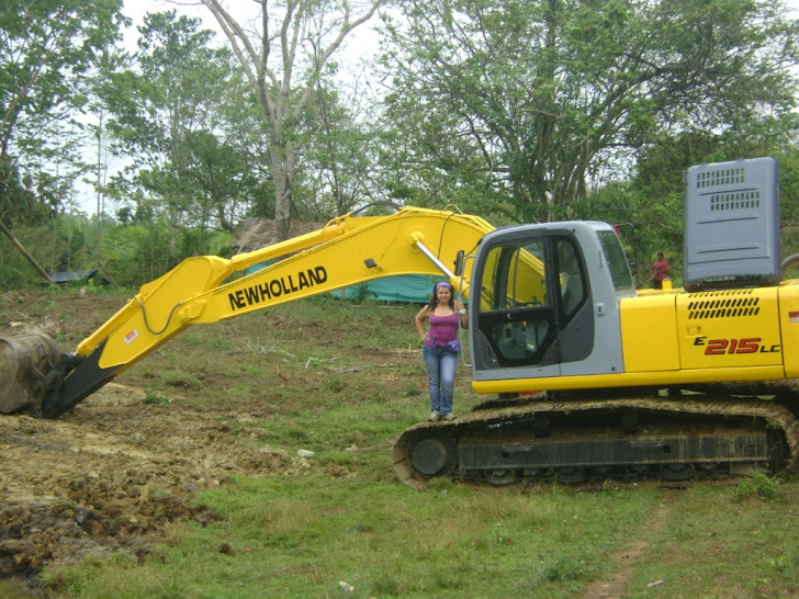 NEWHOLLAND