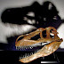 New dinosaur found in Portugal, largest terrestrial predator from Europe