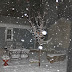 2014: The Winter that Was