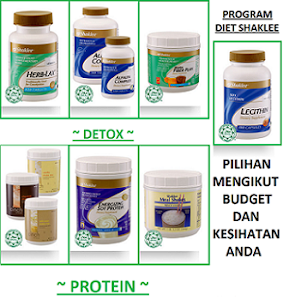 PROGRAM DIET SHAKLEE