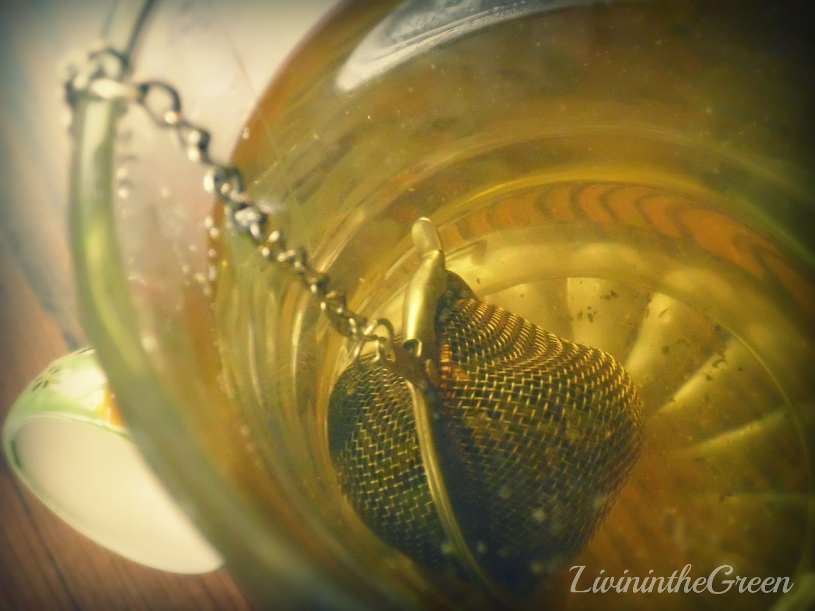 Livin' In The Green How to Make Your Own Echinacea Tea