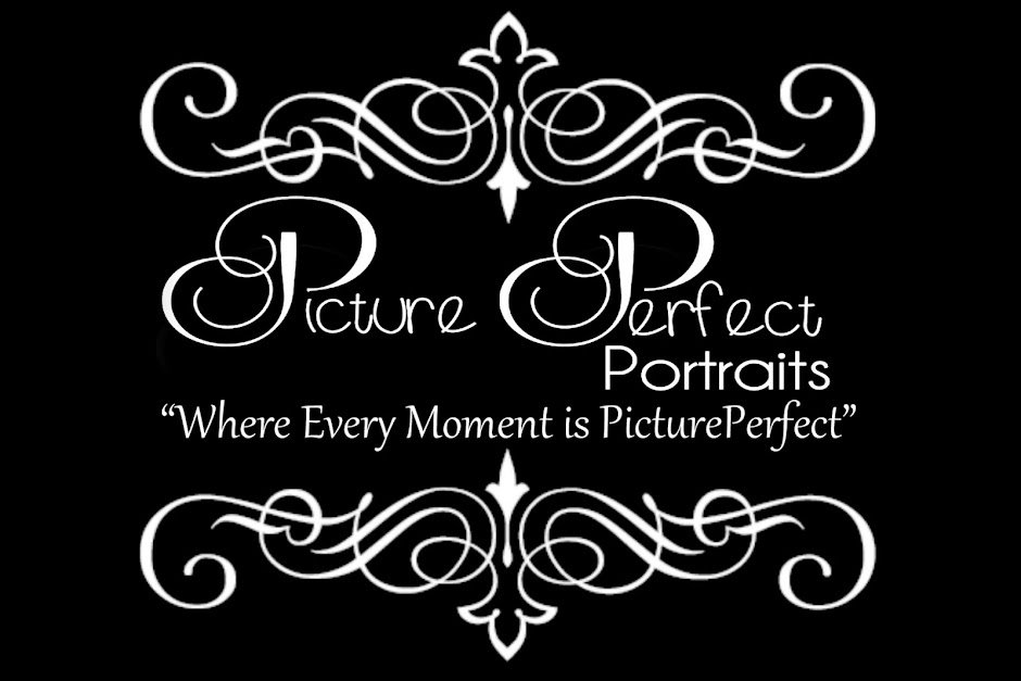 Picture Perfect Portraits