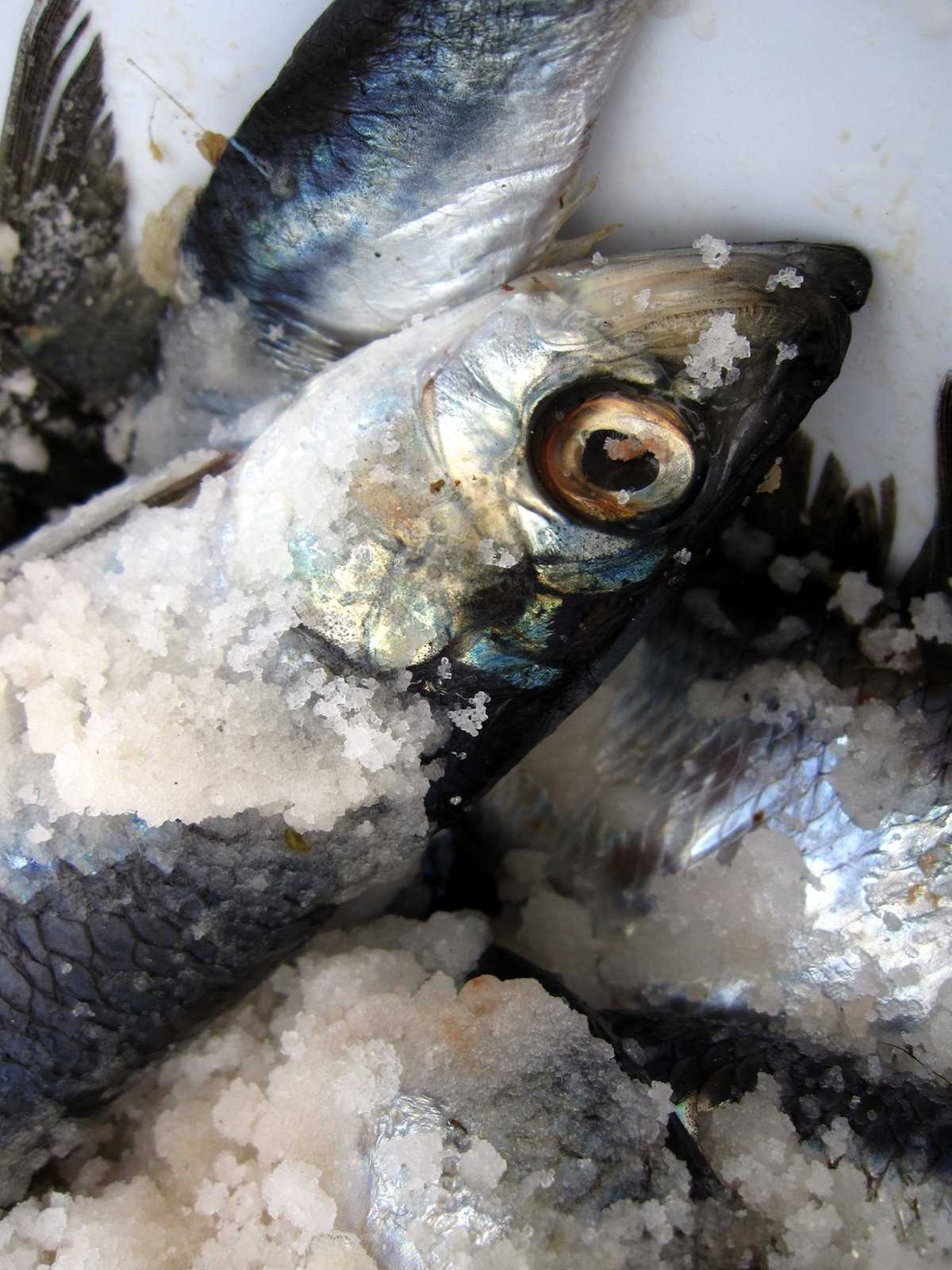 Irish Kitchen Garden A Connemara Croft Simons super simple Scottish