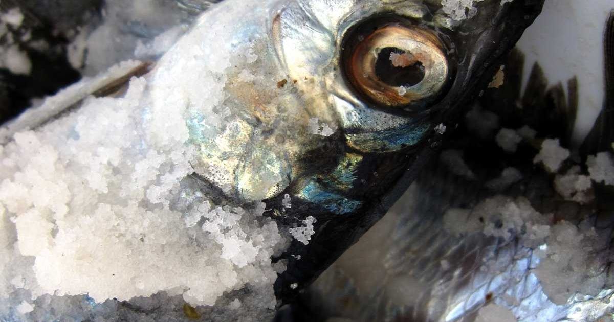 Irish Kitchen Garden A Connemara Croft Simons super simple Scottish