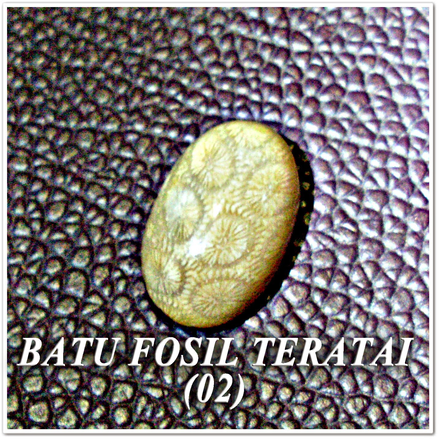 http://batuakik84.blogspot.com/2014/10/batu-fosil-teratai-02.html