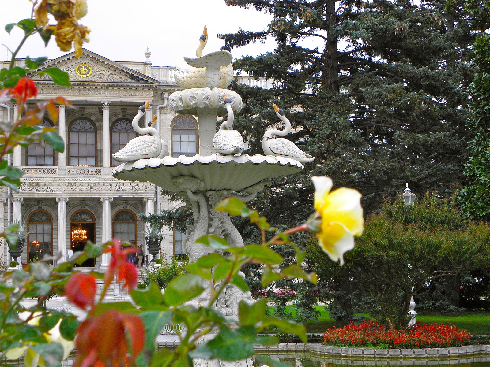 A Breath of Fresh Air Istanbul to home sweet home............