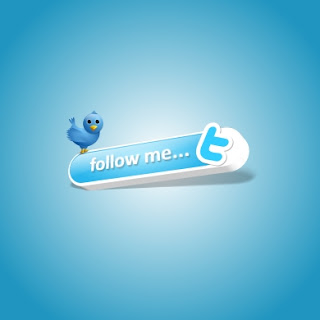 Personnaliser sa bio sur Twitter