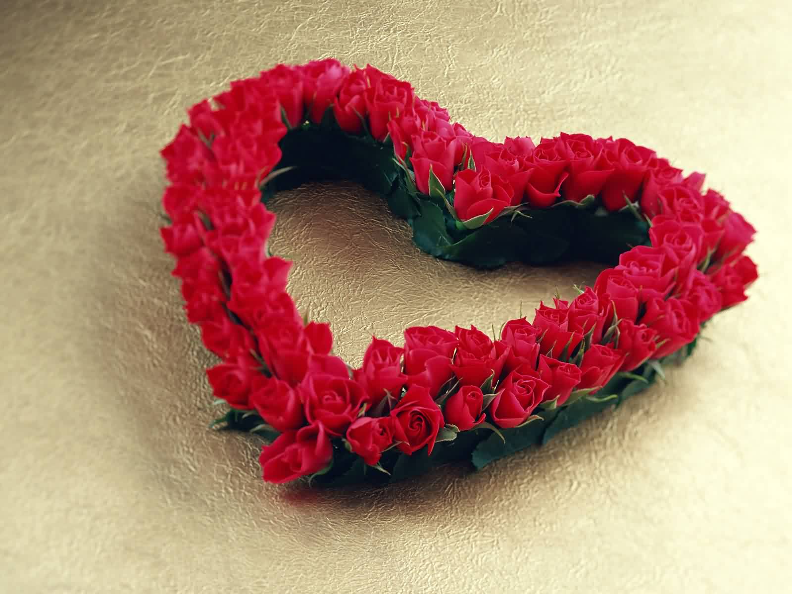roses for valentines day most popular photos and wallpapers 2012 roses roses for valentines day most popular photos and wallpapers 2012 roses