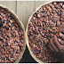 Cocoa industry must adapt to climate change - study