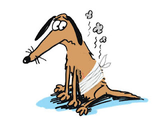 Taxi dog’s blog