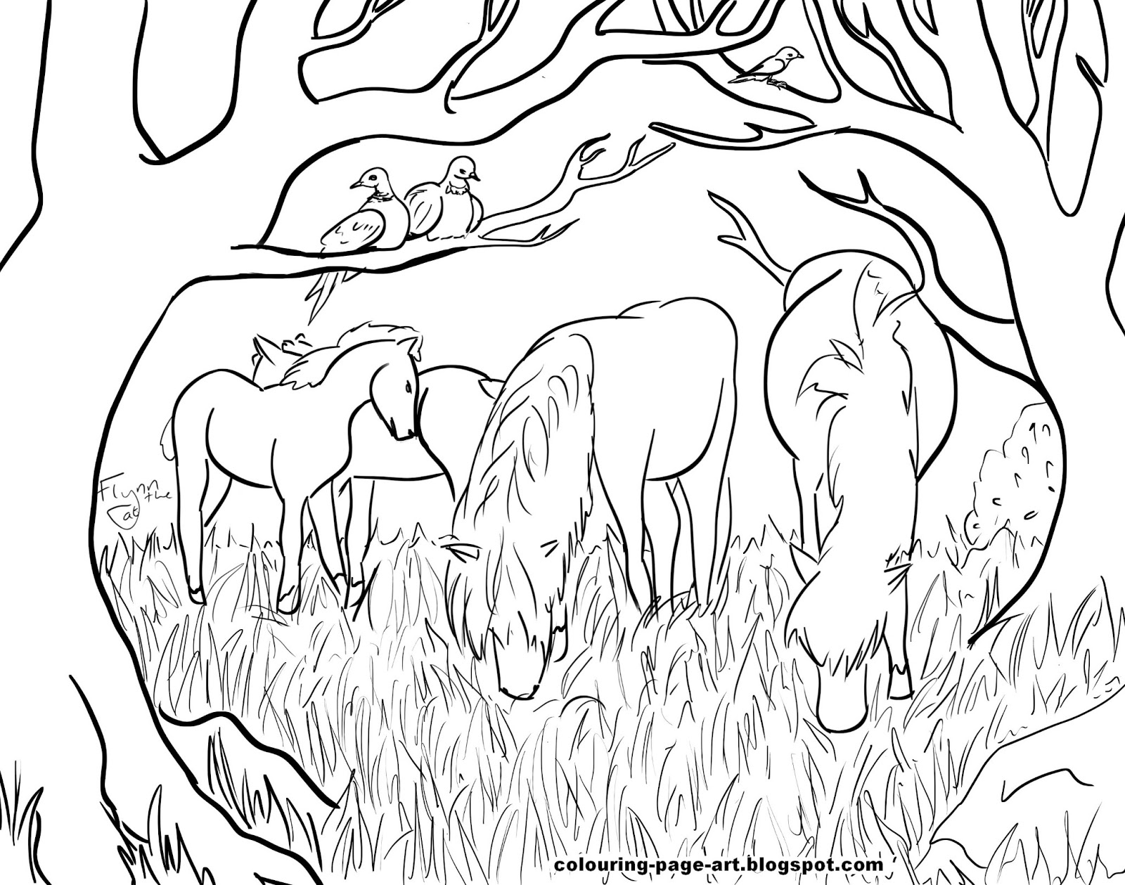 Dartmoor Ponies: Wildlife Colouring Page | Colouring Page Art
