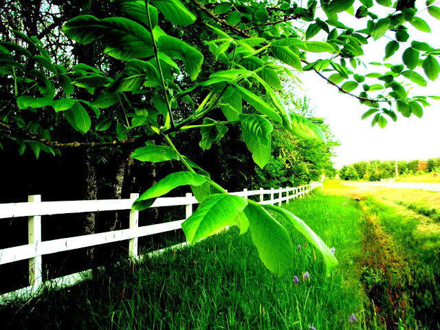 Outdoors and Nature: Outdoor Photo