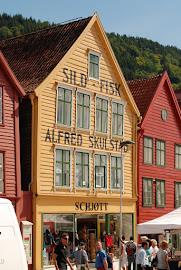 (15) - oud Bergen