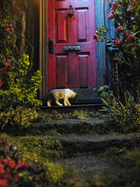 Studio E: Night Gardening