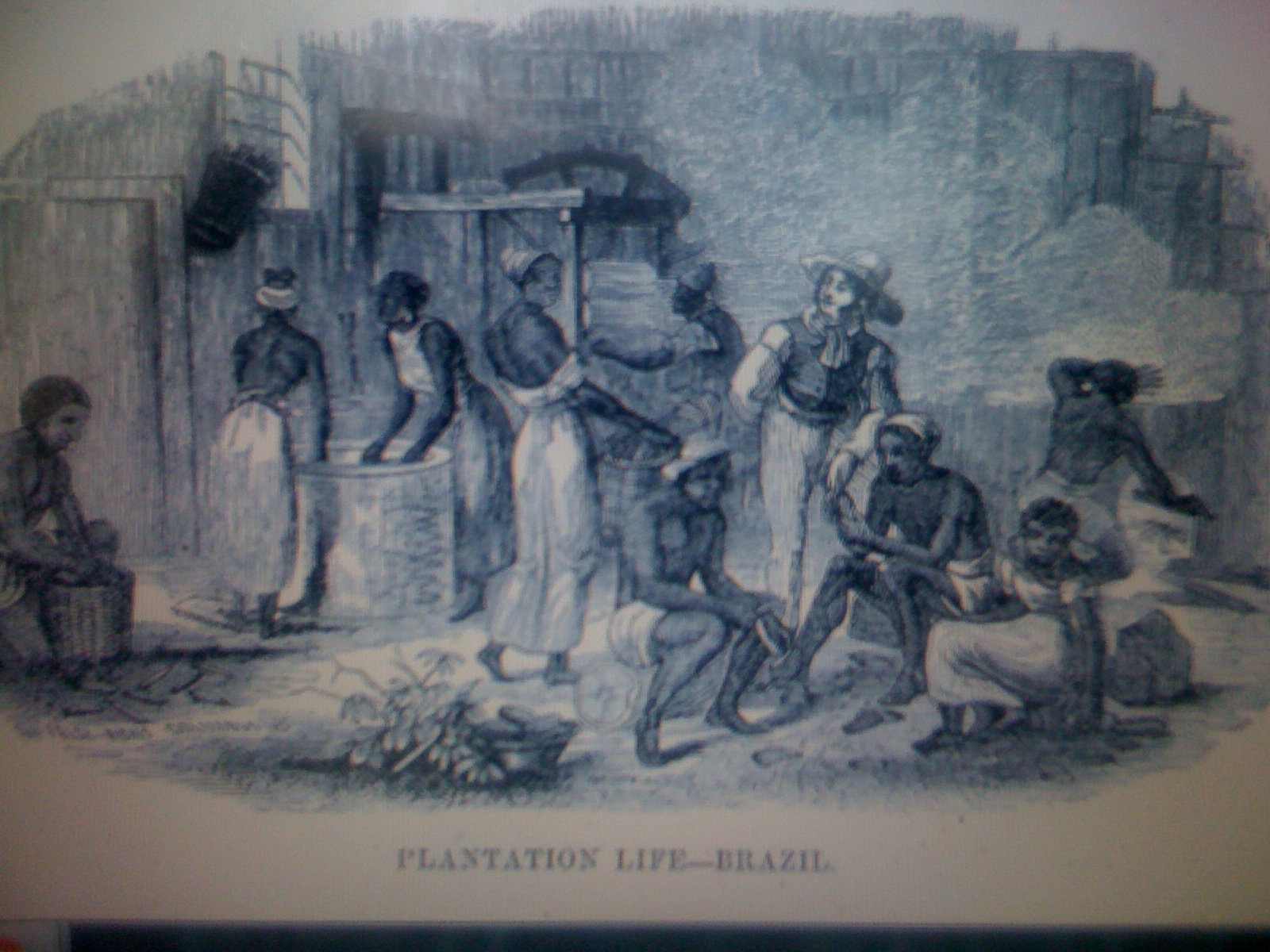 THE BLACK SOCIAL HISTORY BLACK SOCIAL HISTORY SLAVERY IN BRAZIL PART TWO