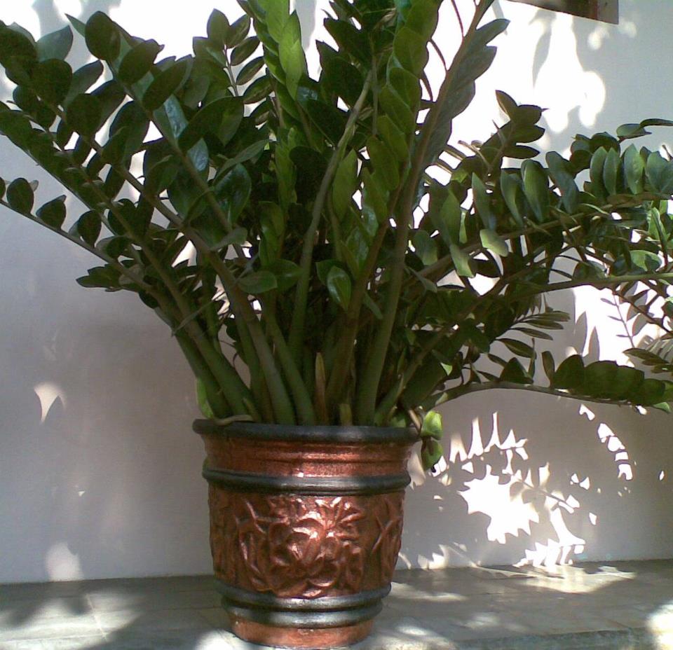 POT BUNGA &amp; TAMAN HIAS BERMACAMMACAM POT BUNGA DAN TAMAN