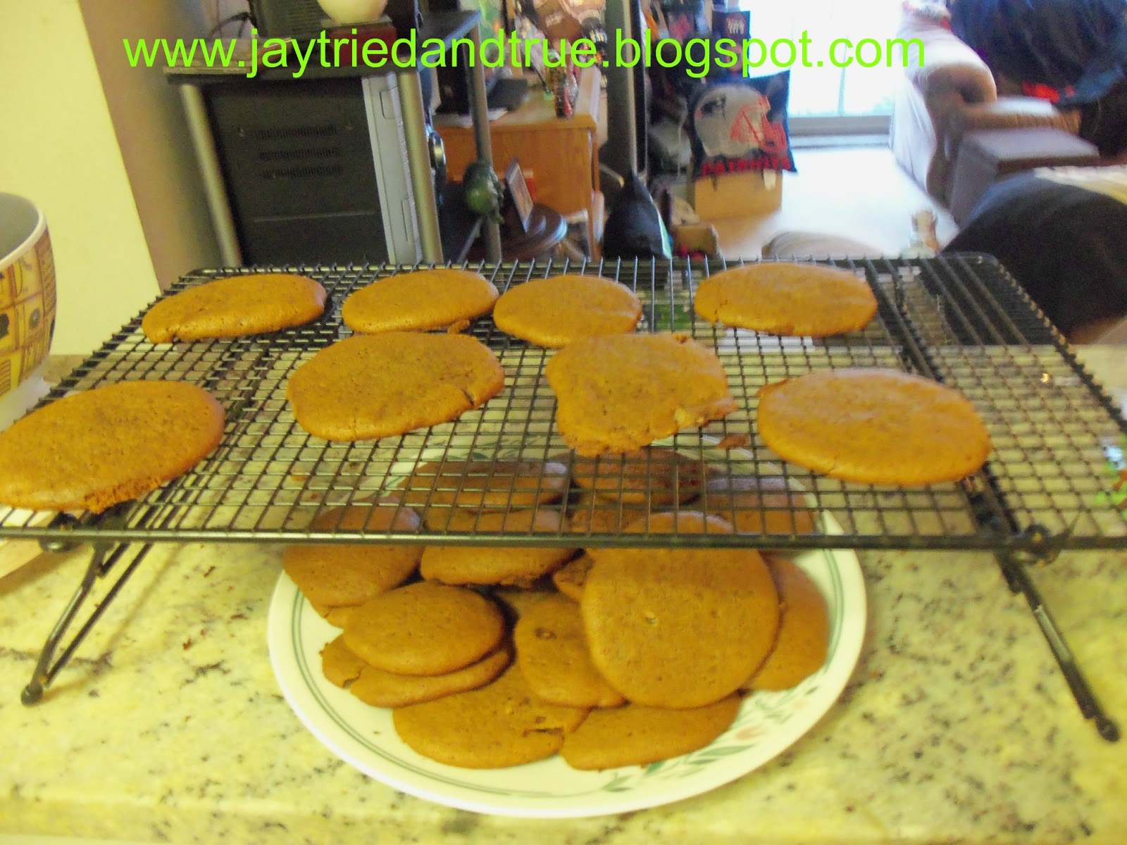 Jay Tried and True Molasses Cookies