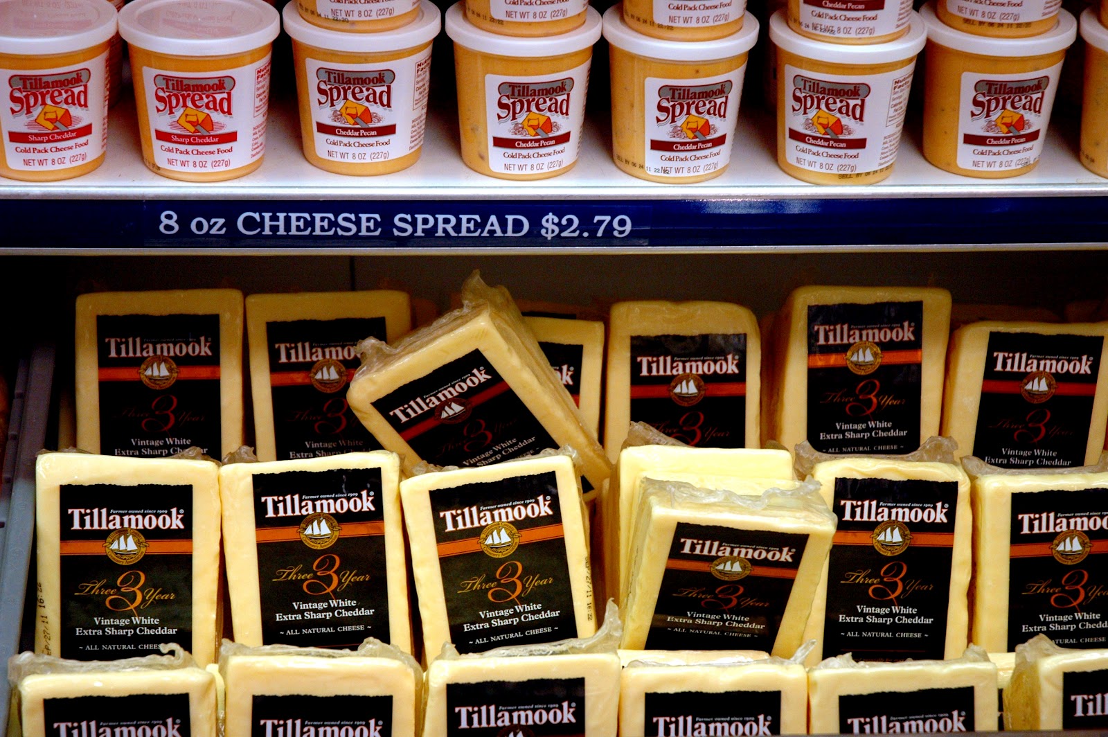 DUDE FOR FOOD Side Views Awesome Sights and Flavors at the Tillamook