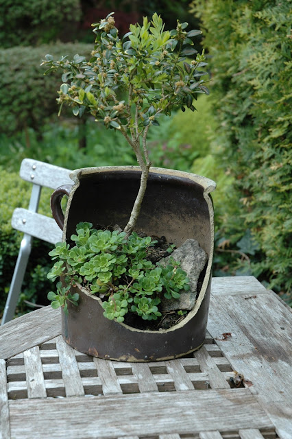 Havetid: planter i potter og skåle.