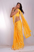 hot, sexy, Sanjana, yellow saree,  cleavage show,
