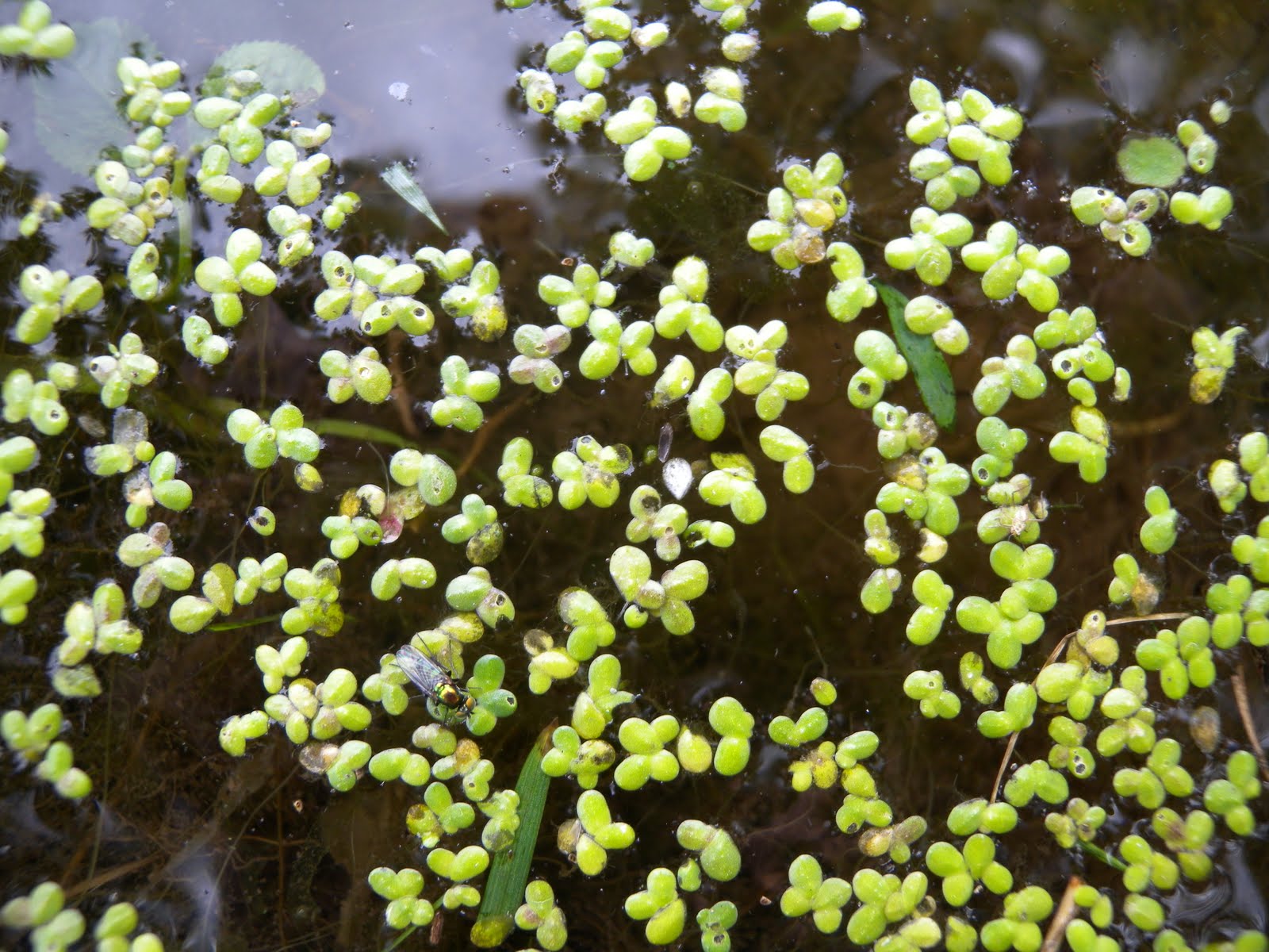 Winnebago Conservation Photography What is the difference