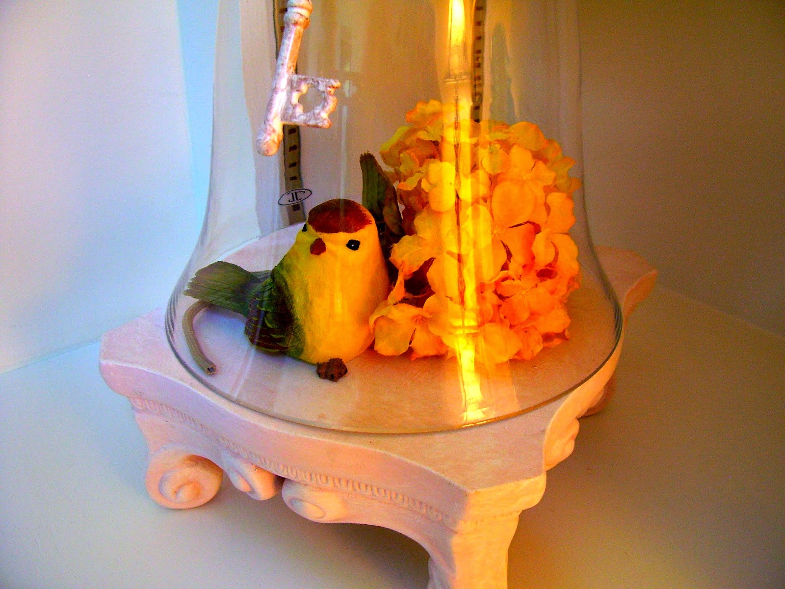 Sharing Shadymont Birds, Everywhere