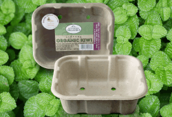 Material de envase biodegradable envase con material biodegradable