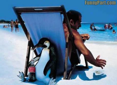 penguin pandai mencuri jenayah