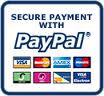 Pay Online Worldwide (Payee: 'SURVIVANT CONSULTING LLC')