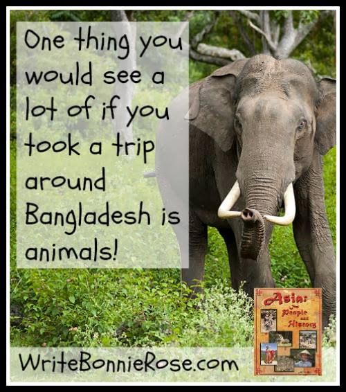 homeschool geography