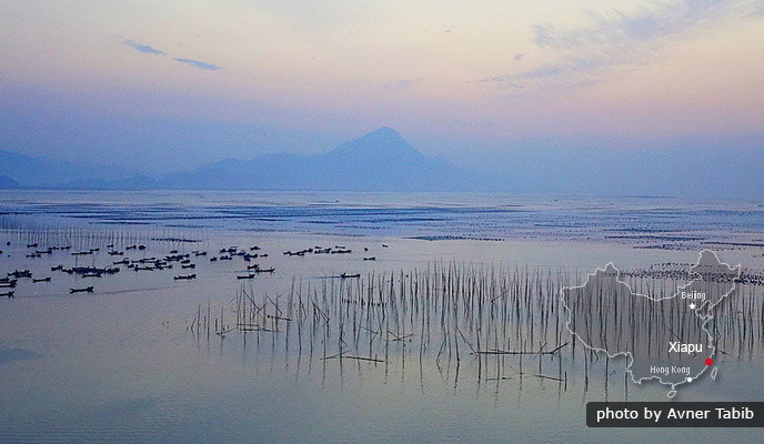 Xiapu - Mudflats and Traditional Seaside Life Xiapu - Mudflats and Traditional Seaside Life