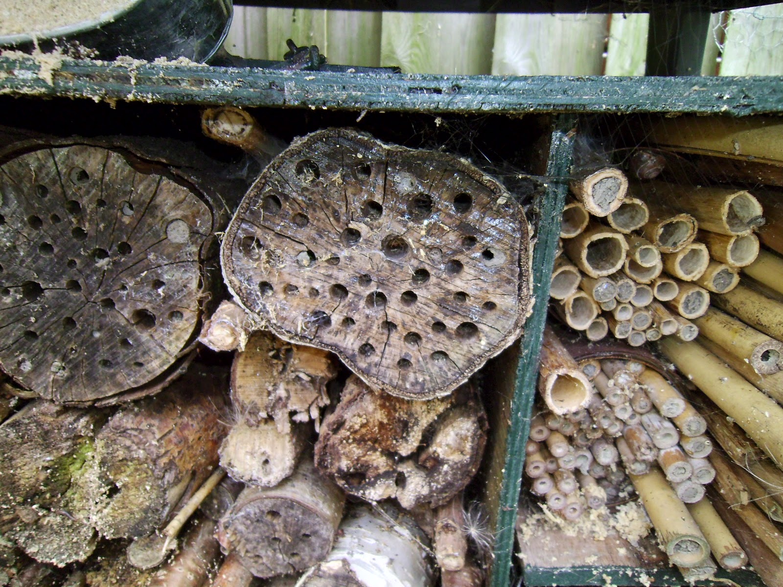 Het paradijsje van jane: creatief #1: een insectenhotel bouwen
