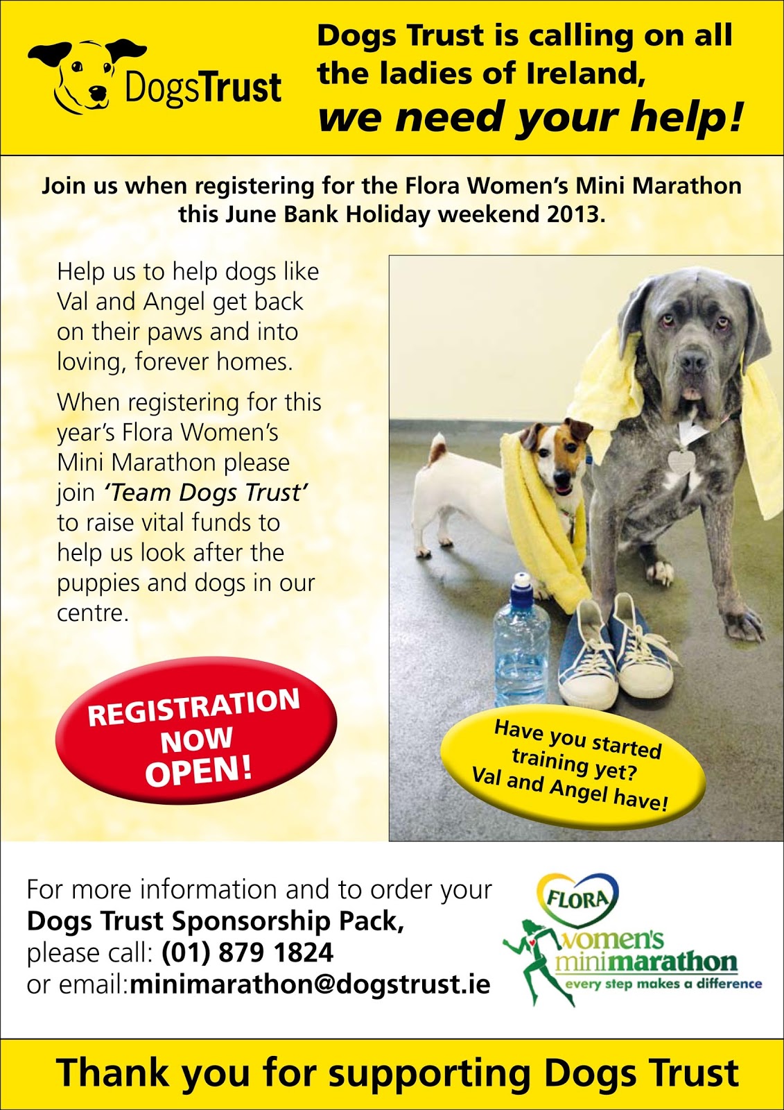 Dogs Trust Ireland Calling on all the ladies of Ireland Dogs Trust