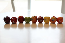 What Apple is Best?