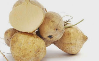 Cara Membuat Masker Bengkoang Cara Membuat Masker Bengkoang