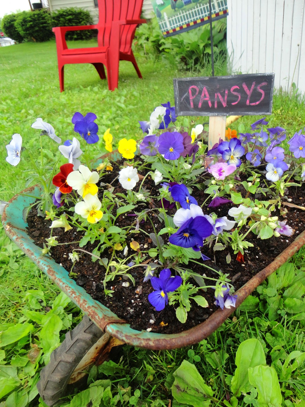 viv out on a whim fairy garden time