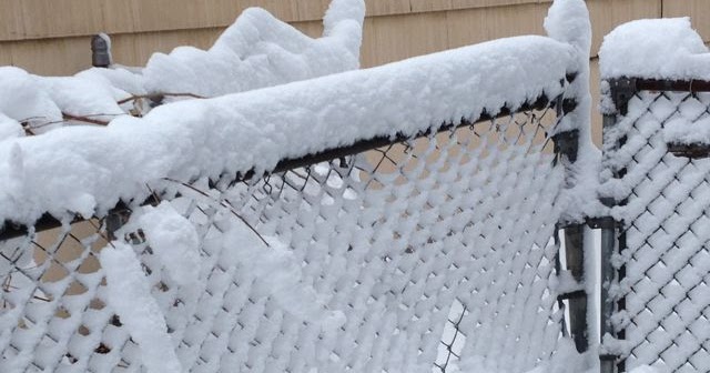 Living Kansas City Record Snowfall Hits Kansas City