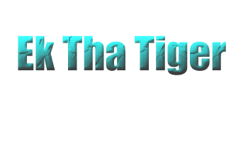 Ek Tha Tiger Salman Khan & Katrina Kaif Movie 2012 Movie, Story,Trailers,Release Date,Wallpaper
