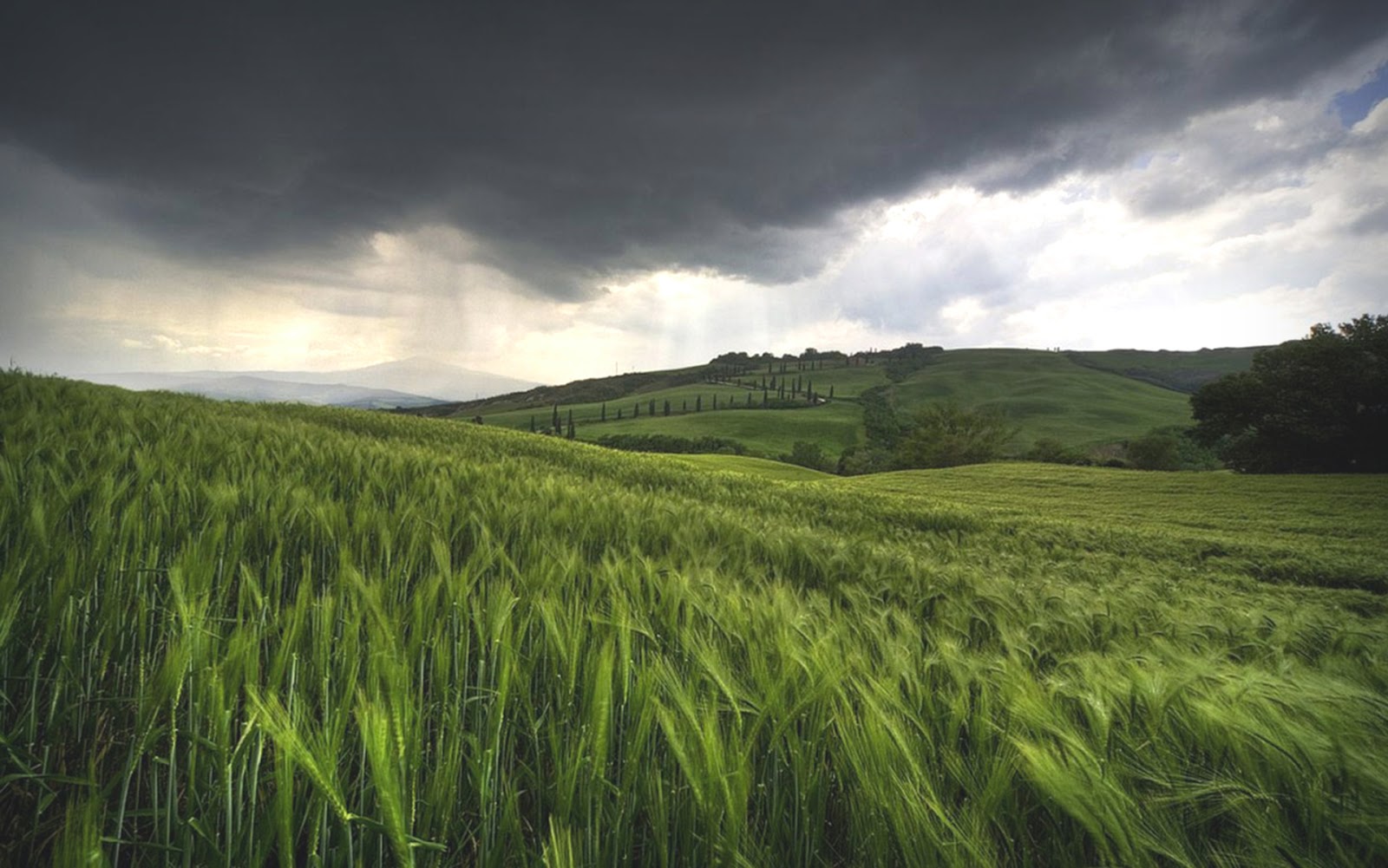 http://4.bp.blogspot.com/-m_OVMyc4H24/UVgdPwB2hvI/AAAAAAAAIz4/7ymmPp2crbM/s1600/34.+Rain+is+coming.jpg