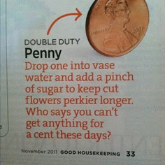 Penny to Preserve Flowers