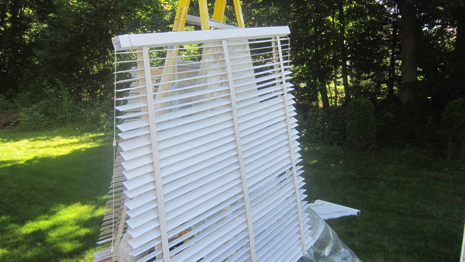 Design Megillah Painting Wood Blinds