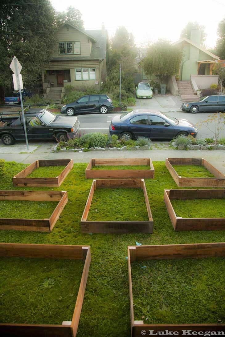Everything started with a series of wooden boxes. - He Started With Some Boxes, 60 Days Later, The Neighbors Could Not Believe What He Built Everything started with a series of wooden boxes. - He Started With Some Boxes, 60 Days Later, The Neighbors Could Not Believe What He Built