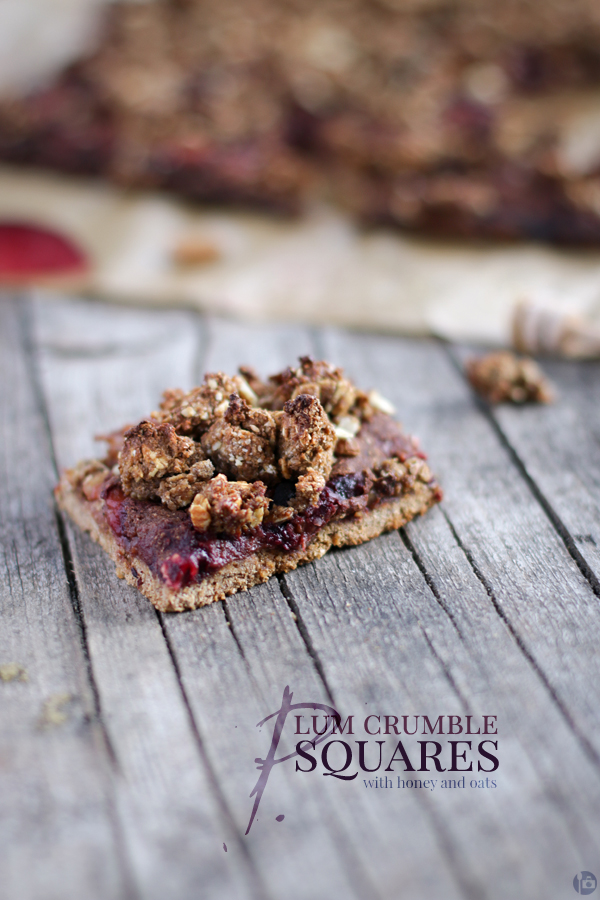 Plum Crumble Squares with honey and oats