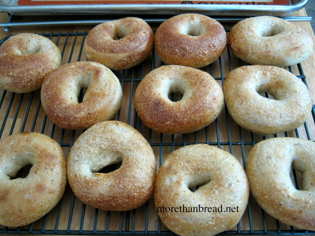 More Than Bread Whole Wheat Bagel