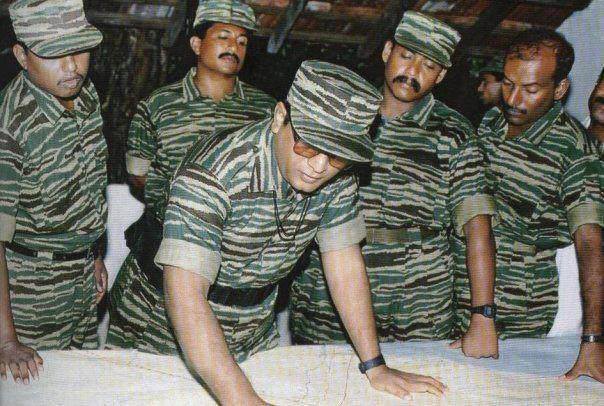 11951886_1488007638165403_24006190249889