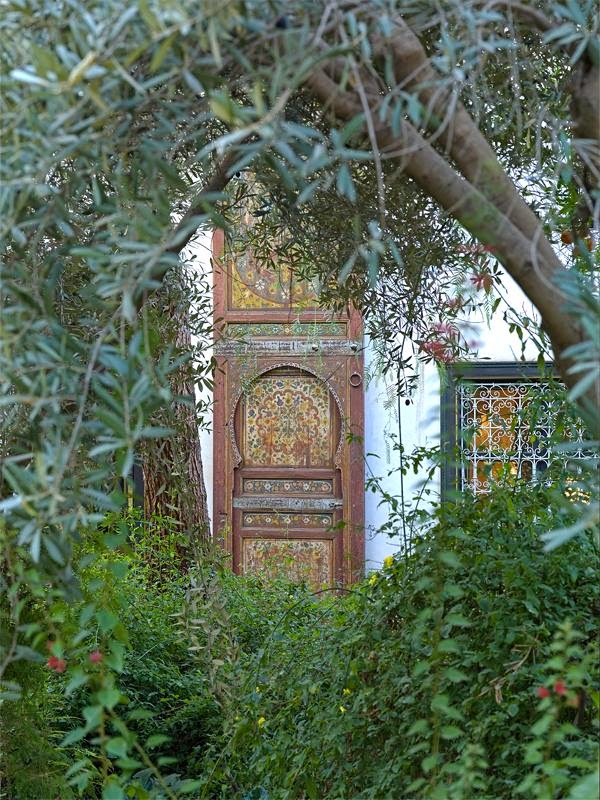 Coco morocco: marrakesh riad madani a green haven.