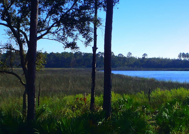 Faver-dykes state park florida photo by dear miss mermaid