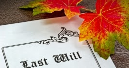 dana white vermögen