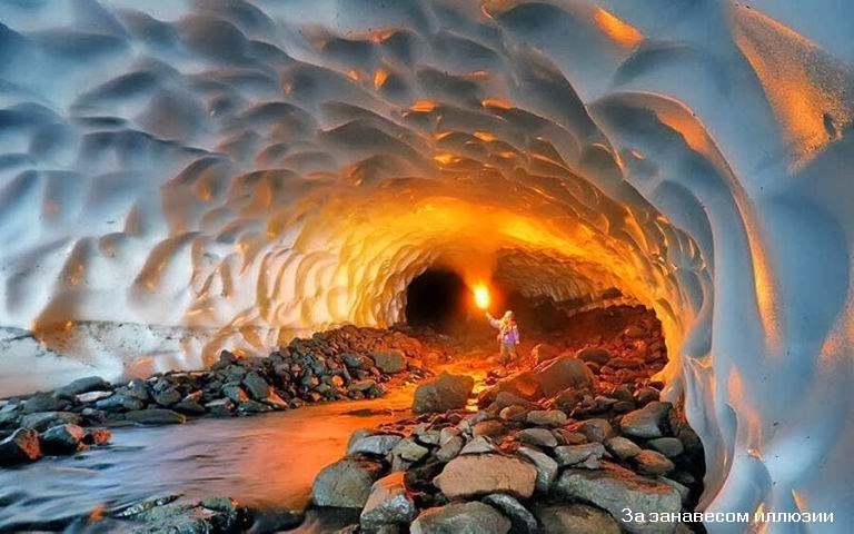 Методика Различения Рас По Крови Е О Манойлов